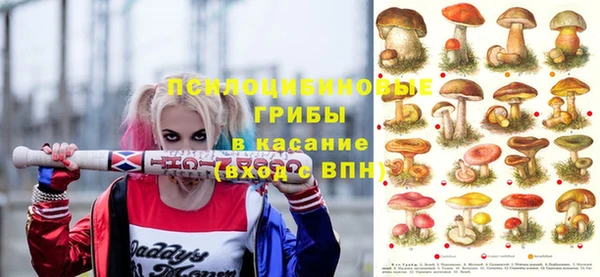 стаф Алексеевка