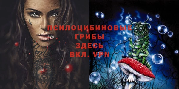 стаф Алексеевка